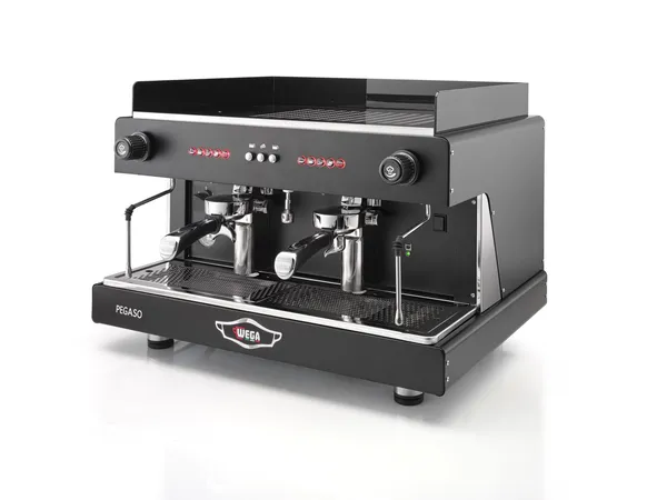 Wega Pegaso 2 group
